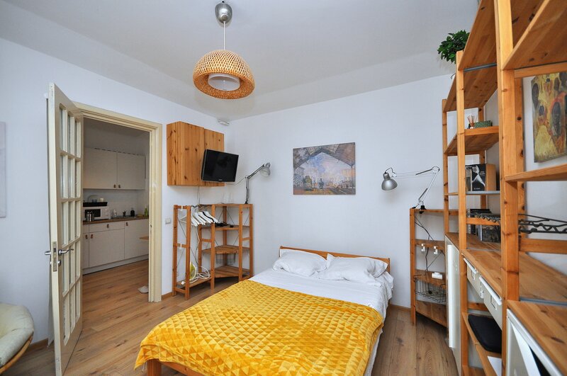 Universitate strada Doamnei garsoniera mobilata centrala proprie